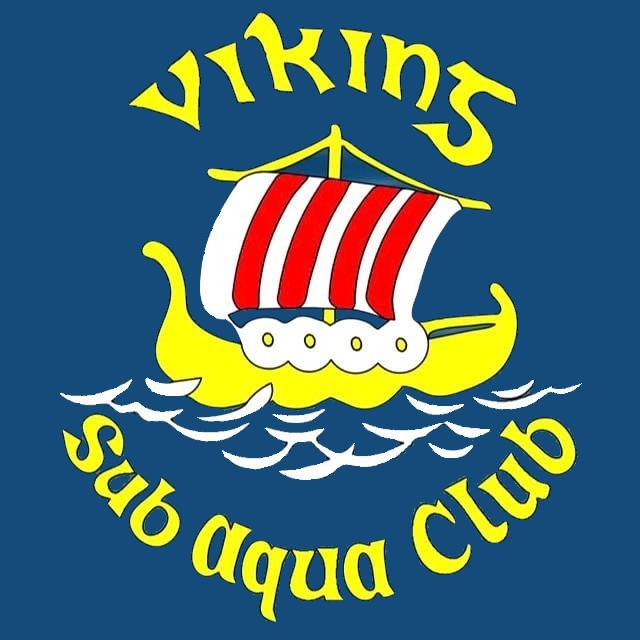 viking_logo